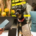 Photo by OtterBox_IRE (@OtterBox_IRE)