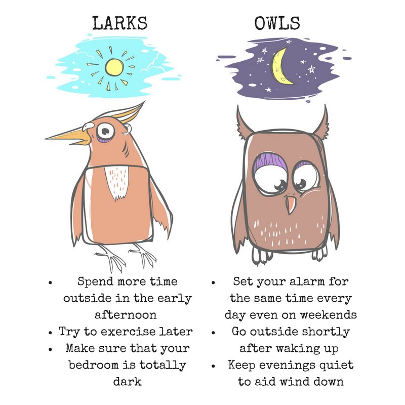 night owl person night owl person