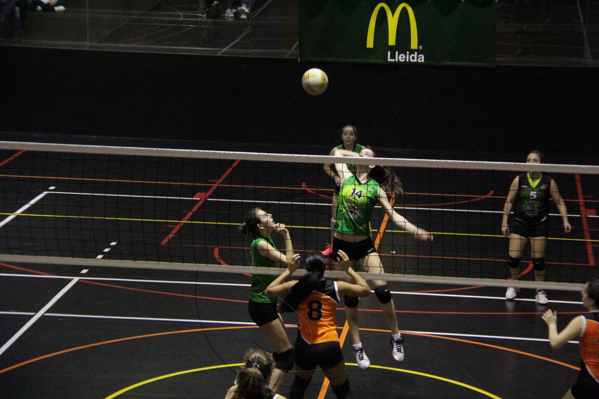 SEGRE Esport Base tweet media