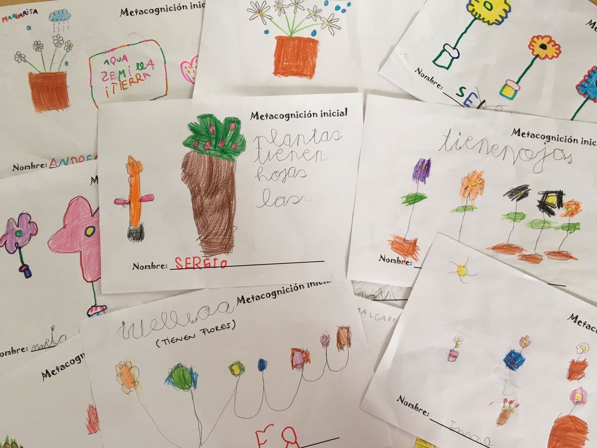 vedrunalapalma's tweet photo. Detectamos los conocimientos previos sobre las plantas en nuestros alumnos de 5 años https://t.co/Ts2gu1BOMb