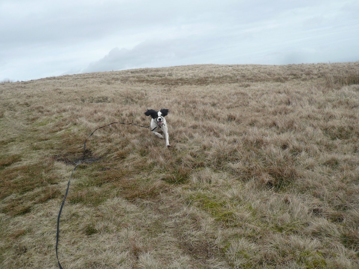 We walk in some beautiful spots, i love my job so much <a href="/glocky9/">Lake District Fells 🇬🇧</a> <a href="/BrockwoodHall/">Brockwood Hall</a> <a href="/MonkhouseHill/">LakeDistrictCottages</a> @ConistonBoating <a href="/TheUllswaterWay/">Ullswater Way</a>