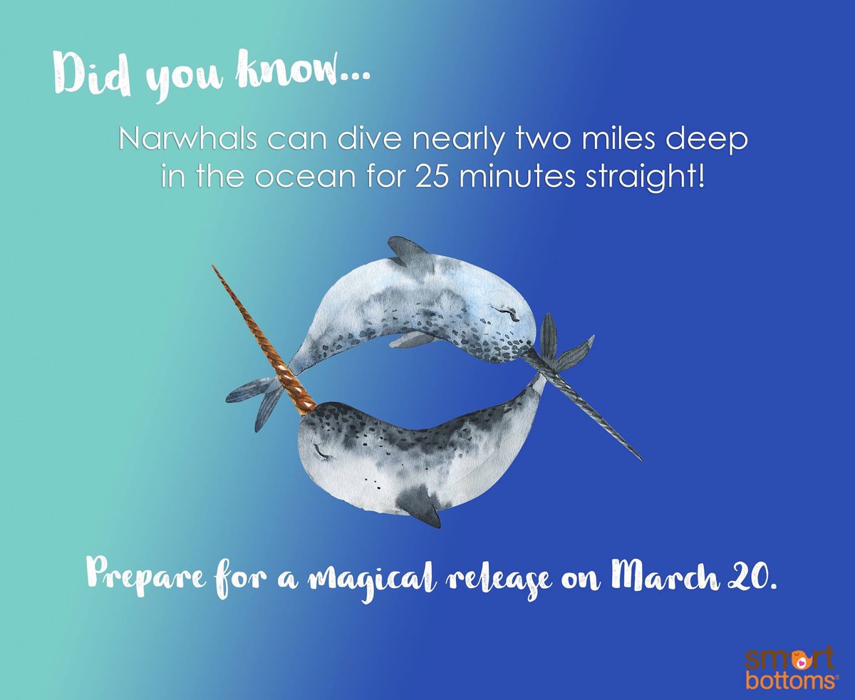 awesusse's tweet photo. You don't want to miss this release! #awesusse #smartbottoms #narwhal @KimRosas @TNP_Mag https://t.co/aifqwEZNE5