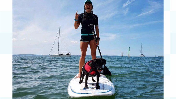 itvmeridian's tweet photo. It is a doggy day here at Meridian HQ and @SimonParkinITV has found a dog that has a better lifestyle than most!
https://t.co/IpnJYcRl8g https://t.co/8Gwqklcqbd