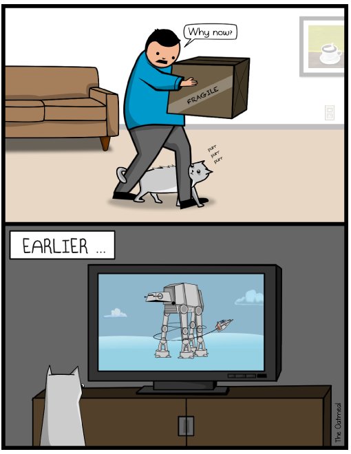 gameofkittens's tweet photo. https://t.co/EBDkvOOsDg