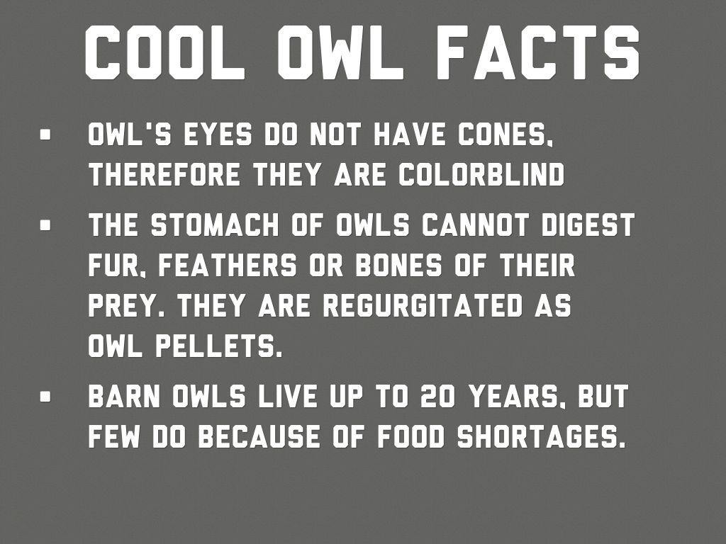 ForAHunter tweet media