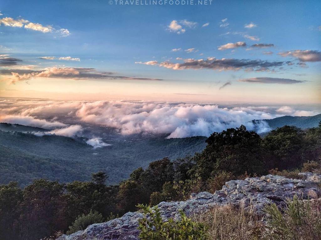 TravelNFoodie's tweet photo. #Travel: ☁ Wanderlust Wednesday takes me back to bring in cloud nine at @ShenandoahNPS! Th… https://t.co/BWxZ2Fu0eq https://t.co/kaWuF8D9A3