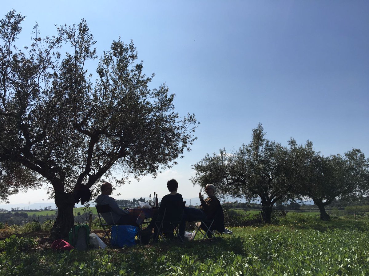 Cordegat's tweet photo. Dinar de feina... #cordegat #dinar #airelliure #alcamp #work #meals #teamwork https://t.co/w0QMmdUdUJ