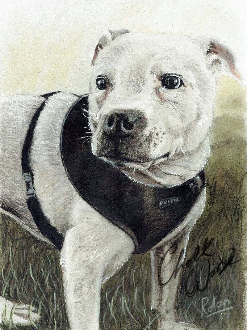 Faewatch's tweet image. Do you have a dog? Would you like to win a portrait of your dog? Go here facebook.com/chalkworxart/