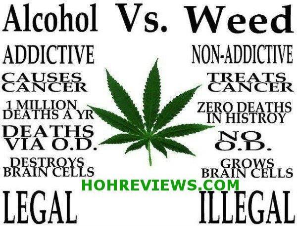 HouseofHemp's tweet photo. https://t.co/5unYjsY4vB