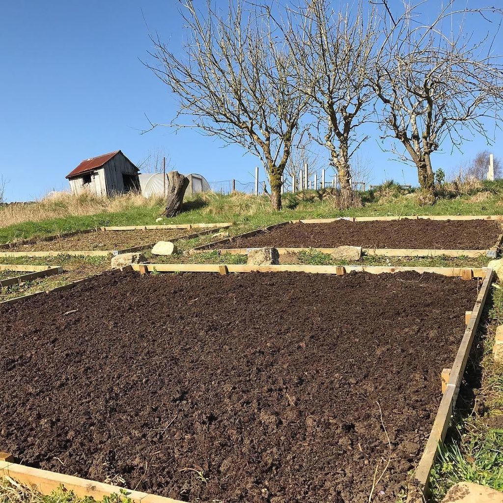 CotswoldAllotmenteer tweet media