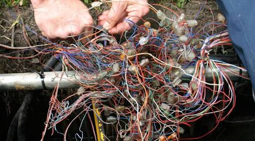 Pioneer_Elec's tweet image. Seeing #poorworkmanship and #trafficlights are in the news picture shows how a joint or connection should not look like @HermanMashaba #JHB