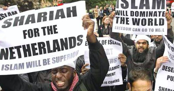 WEB_2013's tweet photo. @tylerbingebook LOL #GeertWilders #Netherlands #ImmigrationNotInvasion https://t.co/hkjApVaoed