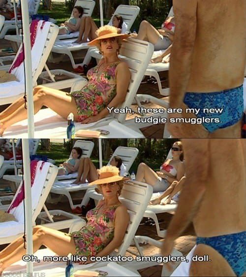 KathKimQuotes's tweet photo. Budgie smugglers #HelloRevolting
#kathkimquotes https://t.co/Top5GNjVxd