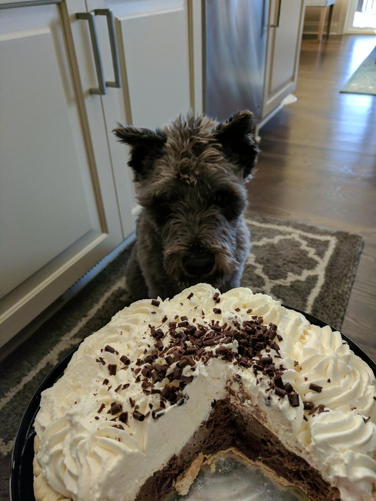 Finnmn's tweet photo. HAPPY π DAY!!! #happyπday #nationalnappingday #bestmondayever #eatandsleep https://t.co/2pCjPOPKb0