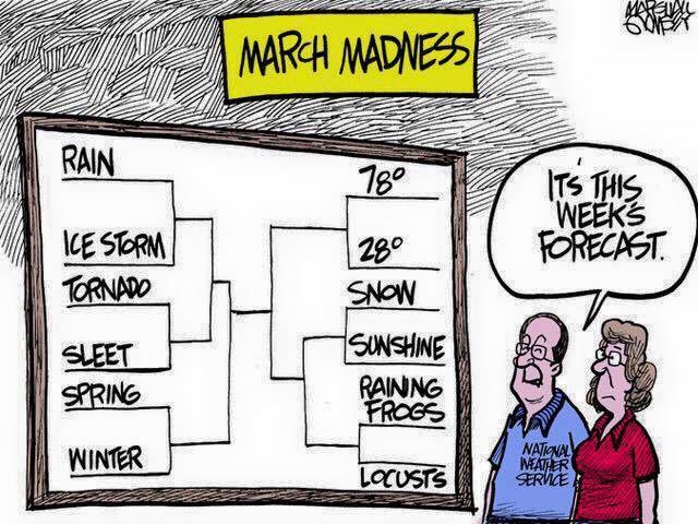JenCarfagno's tweet photo. Spot on for this #MarchMadness! https://t.co/yrRF22vlBD