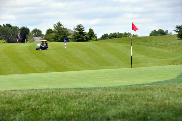 Roses are red, violets are blue. Spring is coming, grab a friend and join a golf league for 2 

teeteams.com #Golf #teeteams