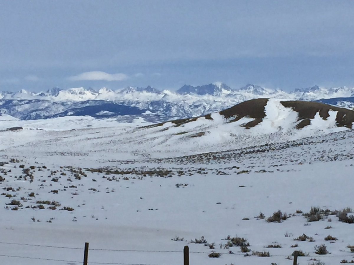 Dallas Smith tweet media