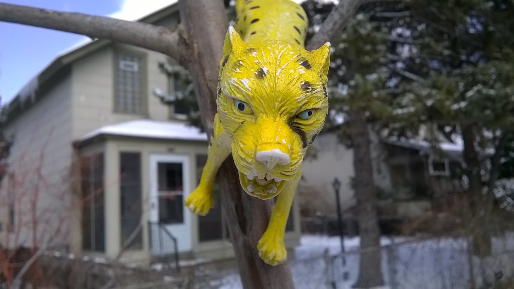 I love my weirdo neighborhood.#sewardmplsmagic