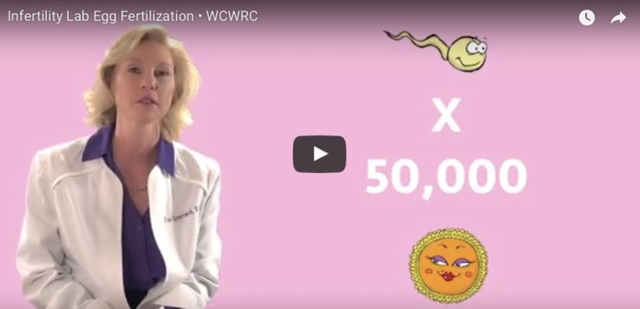 WmnReproduction's tweet photo. In this week’s WCWRC video, Dr. Koopersmith explains the process for creating an embryo for #IVF.

#DrKoop explains: https://t.co/EuviltmMm0 https://t.co/wJVGTP8NgO