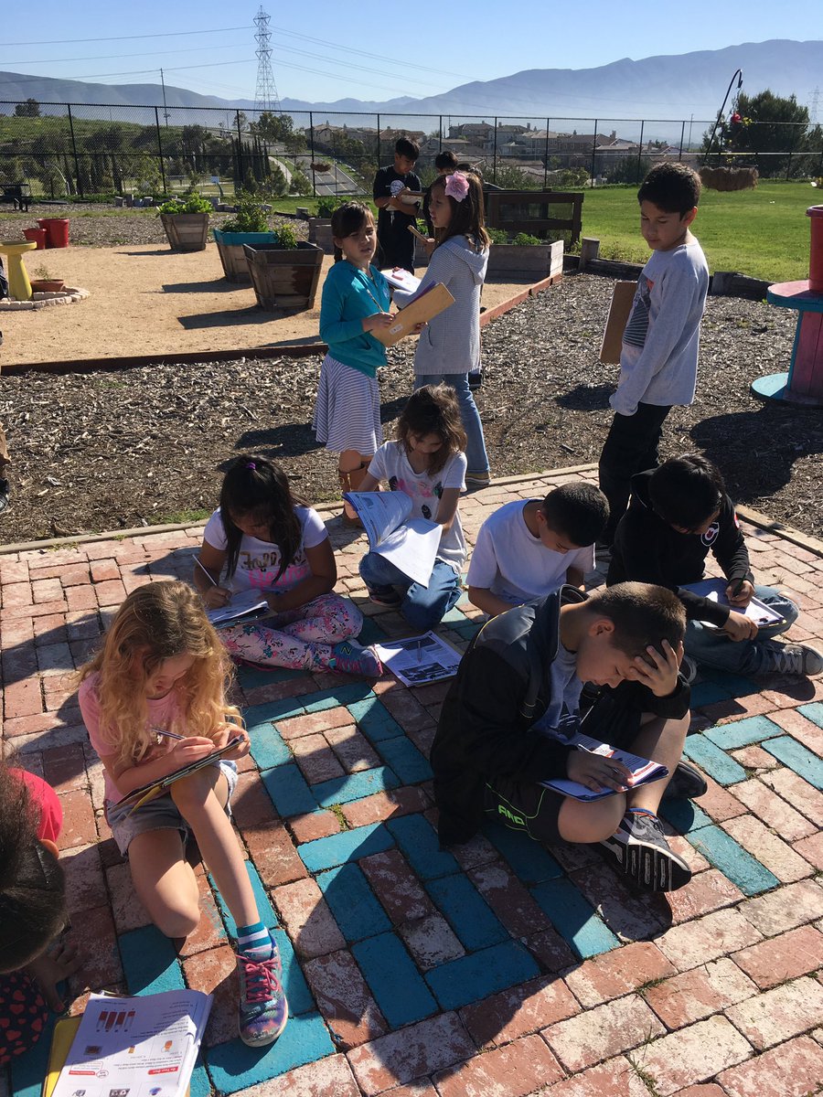 MrsAMarcial's tweet photo. Math in the garden today! The plants benefited from our liquid volume lesson! #camlearns https://t.co/kb0UujG94A