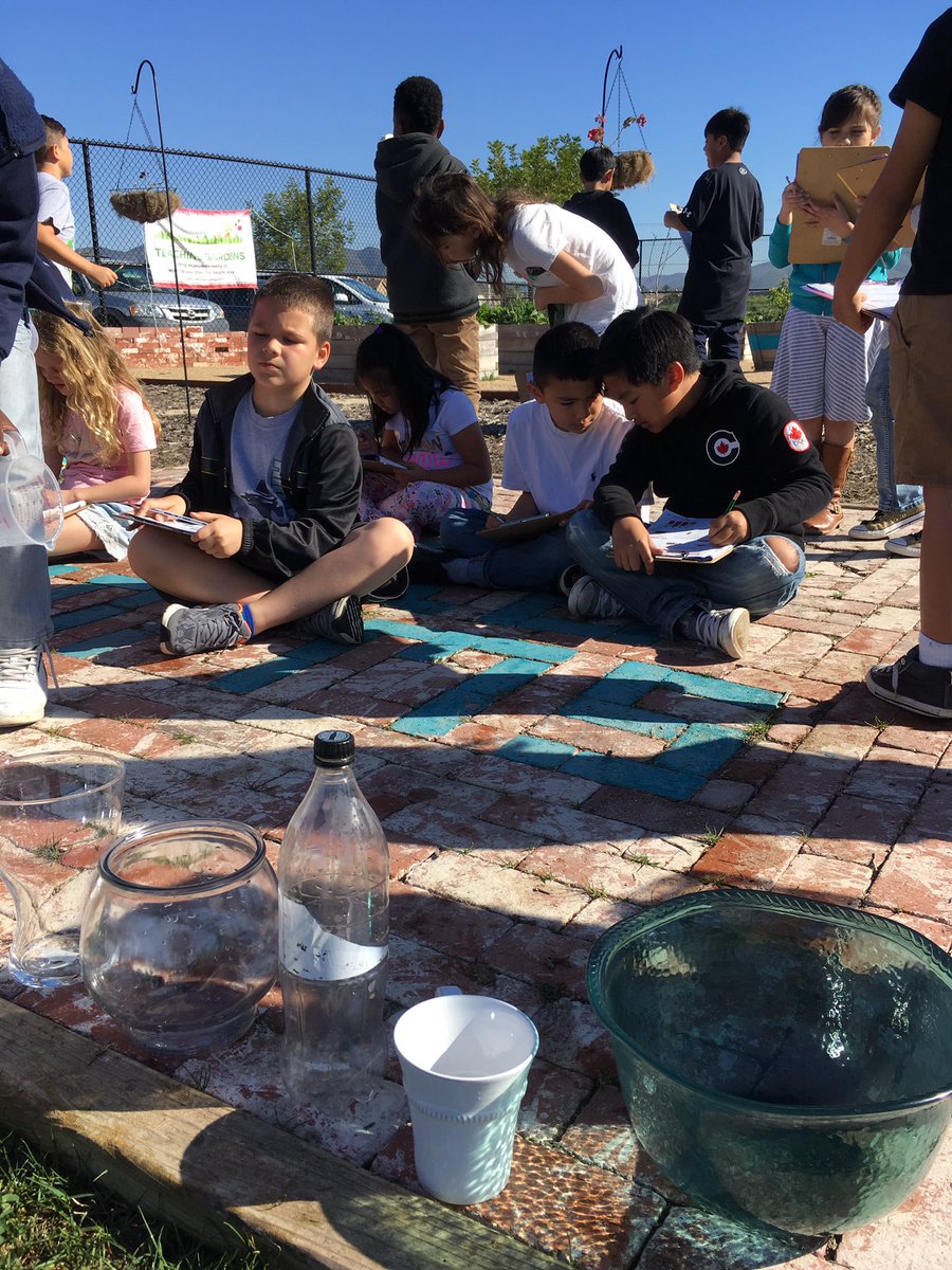 MrsAMarcial's tweet photo. Math in the garden today! The plants benefited from our liquid volume lesson! #camlearns https://t.co/kb0UujG94A