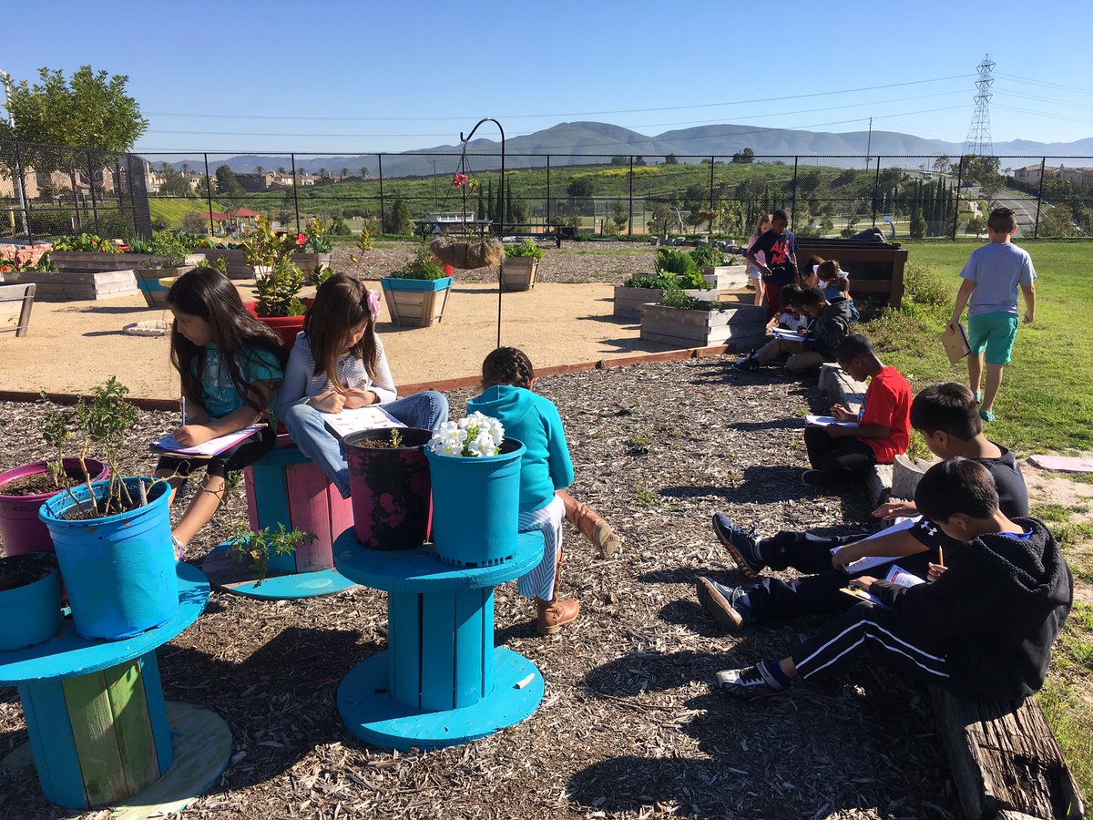 MrsAMarcial's tweet photo. Math in the garden today! The plants benefited from our liquid volume lesson! #camlearns https://t.co/kb0UujG94A