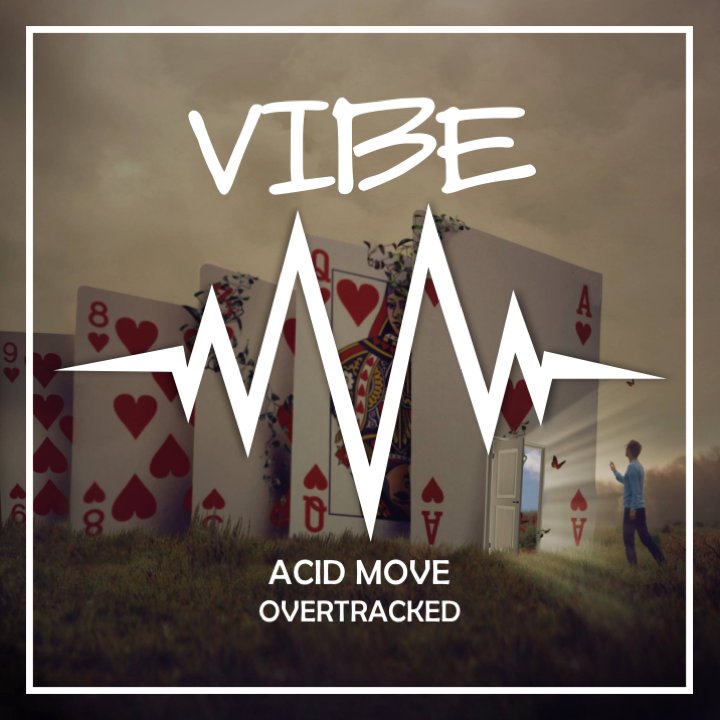 Vibe Collective tweet media