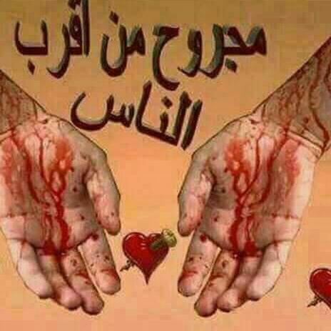 سامي محمد الصنعاني (@ydklw3t7azjevqw) on Twitter photo 