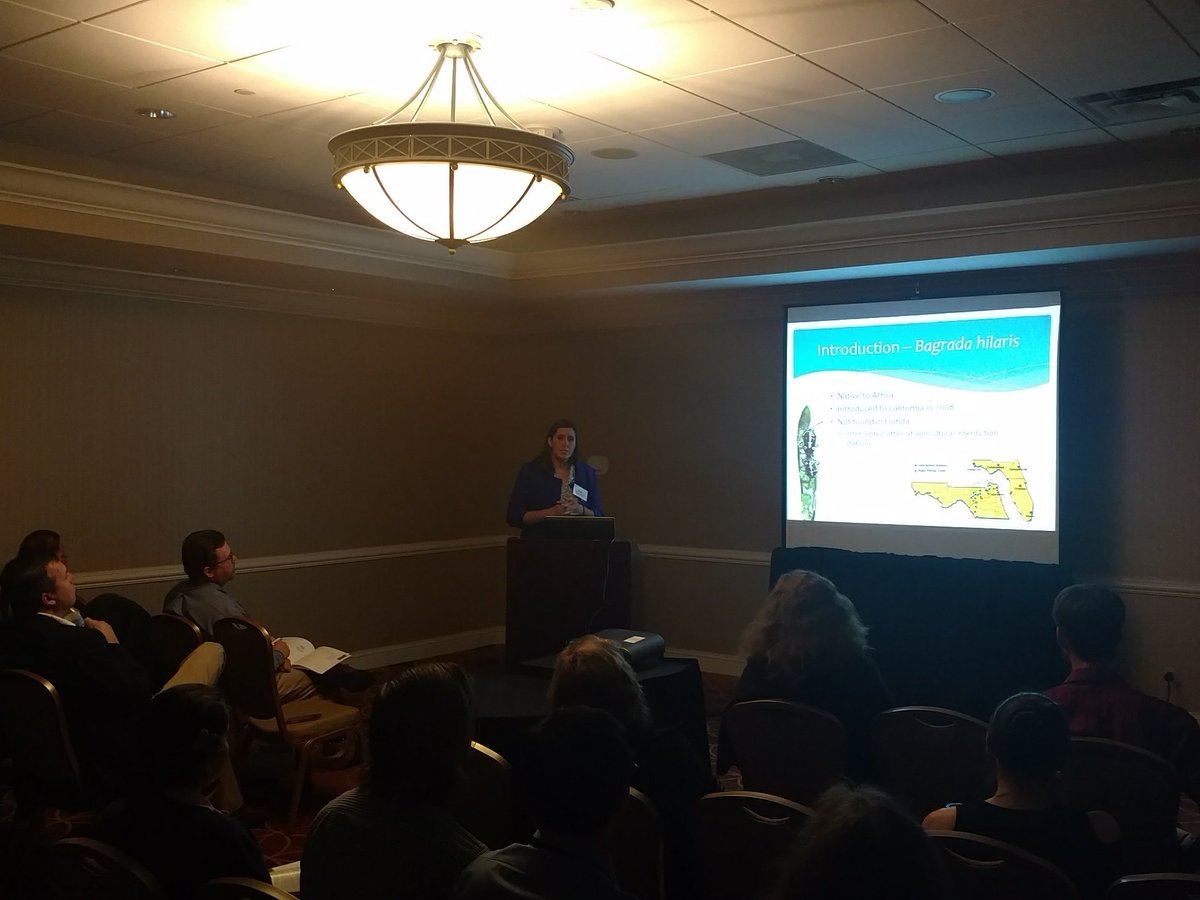 ENSOUF's tweet photo. @UFEntomology Sage Thompson talking about Bagrada hilaris @EntsocAmerica #SEB2017 #UFBugs https://t.co/kIfBkBaQti