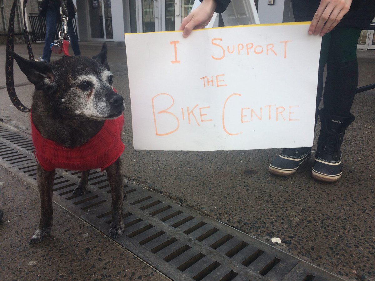 Cycle Dog says, make sure you vote tomorrow! #woofwoof #DSUvotes #dsuelxn