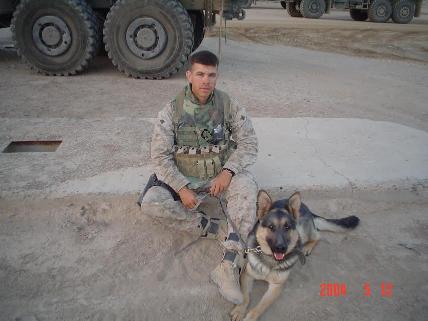 CODE4Vets's tweet image. Happy #NationalK9VeteransDay to @SergeantRex and all the four-legged military #vets who have served alongside our service members.