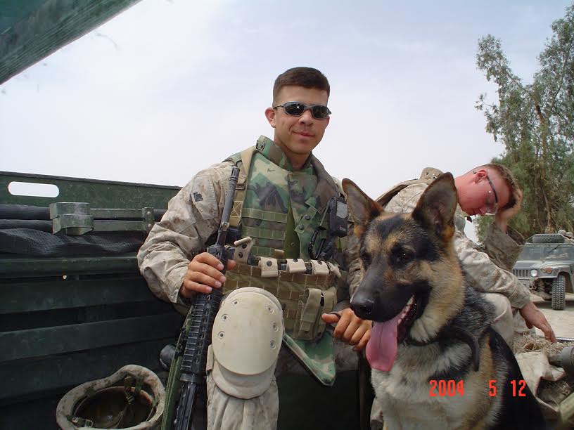 CODE4Vets's tweet image. Happy #NationalK9VeteransDay to @SergeantRex and all the four-legged military #vets who have served alongside our service members.