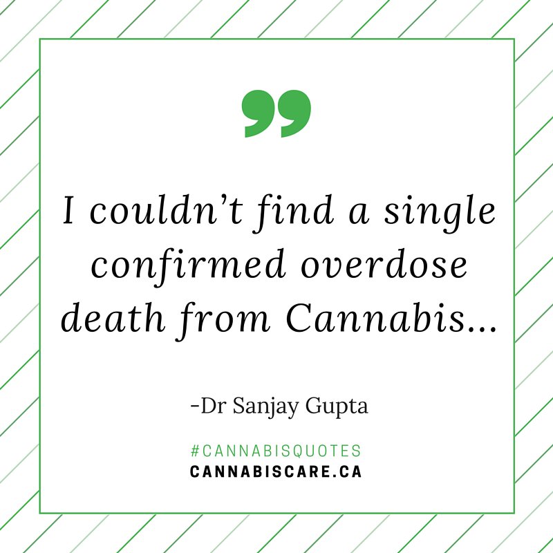 getcannabiscare's tweet photo. “I couldn’t find a single confirmed overdose death from Cannabis” - Dr Sanjay Gupta #cannabisquotes https://t.co/qtZTc2jPx6