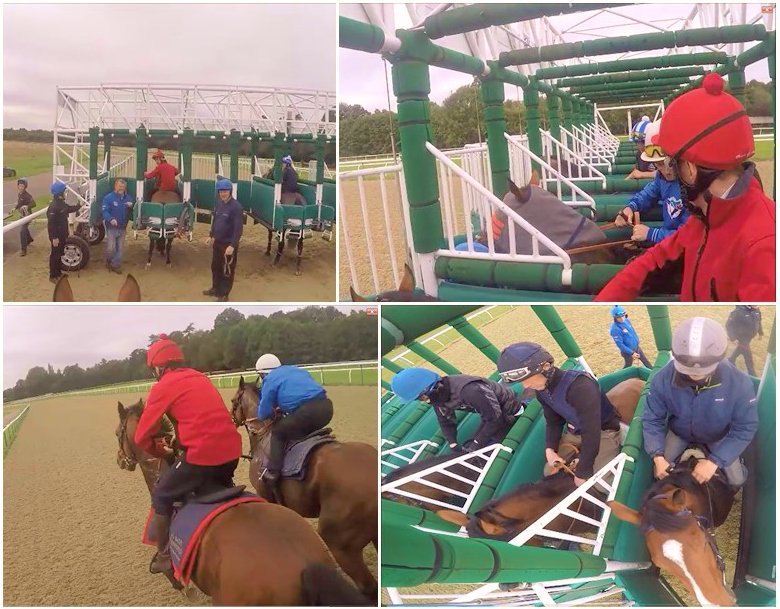 #BarrierTrials <a href="/LingfieldPark/">Lingfield Park</a> 21/03 <a href="/johnbestracing/">John Best</a> <a href="/Archie_Watson/">Archie Watson Racing</a> <a href="/Lmongan/">Lucas Mongan</a> <a href="/LukeDace/">Luke Dace</a> <a href="/HodgsonRacing/">Simon Hodgson Racing</a> <a href="/RebelRacingLtd/">Rebel Racing</a> garywitheford.co.uk/booktrials.html