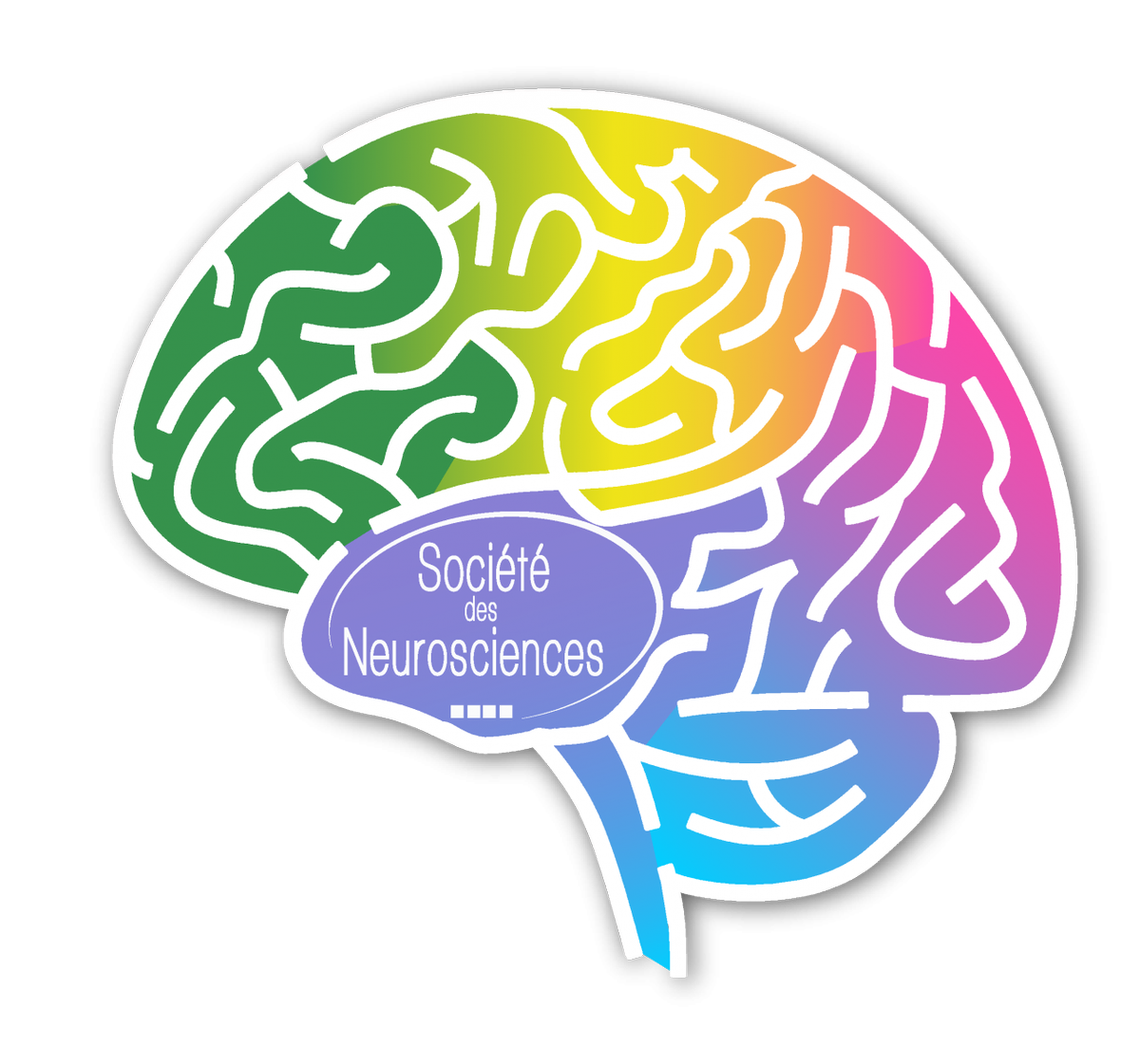 labo_Loria's tweet photo. RDV ce soir à 19h30 sur @F3Lorraine pr un reportage spécial @SemaineCerveau ac Laure Buhry #NeurosysTeam & Louise Tyvaert du @CRAN_UMR7039 https://t.co/Q9oV9yjTDt