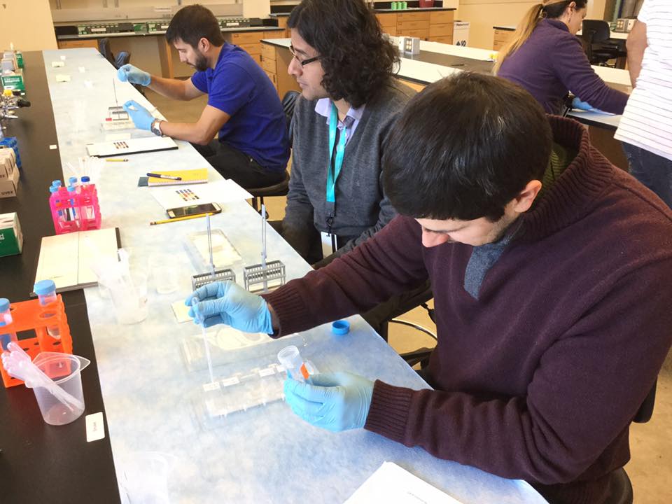 IHCMcourse's tweet photo. Day Three at IHCM: Going with the flow of the fluorescence protocol.
Thanks @FASEBMARC for the picture!!! 😁

#IHCM2017 @MBLScience https://t.co/ntN7sm4tEH