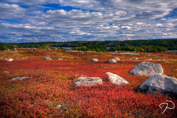 IntercapLend's tweet image. Escape To These 12 Hidden Oases In Maine To Find Peace And Quiet - bit.ly/2lIlsNA