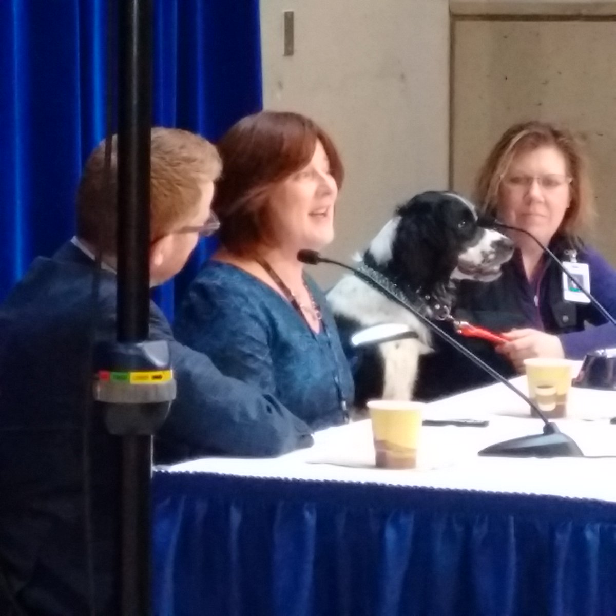 OzClay2's tweet image. Angus of the @VCHhealthcare K9 infection control team is ready for questions with @TerryLakeMLA, Dr. Liz Bryce and handler Theresa at VGH.
