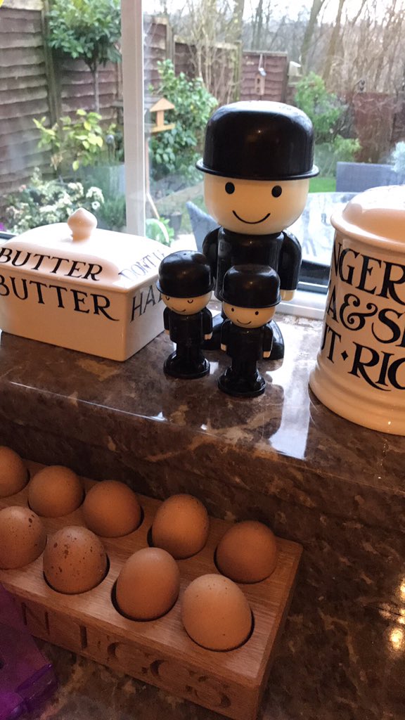DivotDivauk's tweet photo. @HomeprideFlour @EmmaBridgewater Fred can't wait for his merch to arrive. https://t.co/QJCKVPbcNr