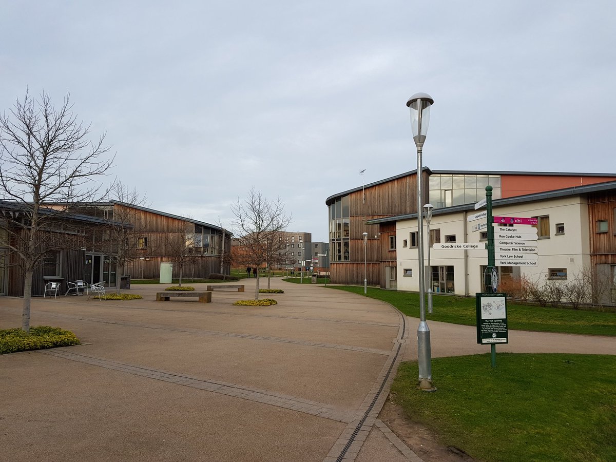 wearebornbred's tweet image. Big shout out for the @UniOfYork students for a great piece of work ! 👏🎓📦😀 #business #consultancy #project #cooksnap