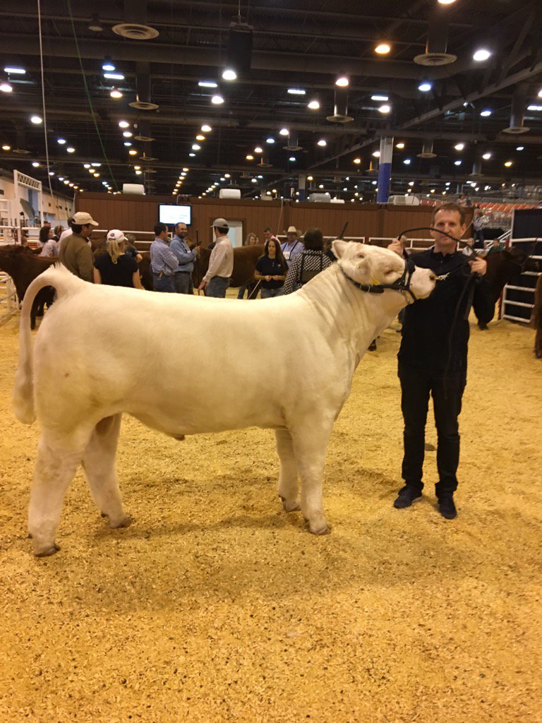 QuantumGenetix's tweet photo. A genetics company created by cattle producers. We're in the business too @RODEOHOUSTON 2nd in class #qselect #tt https://t.co/urEeTNpYhF