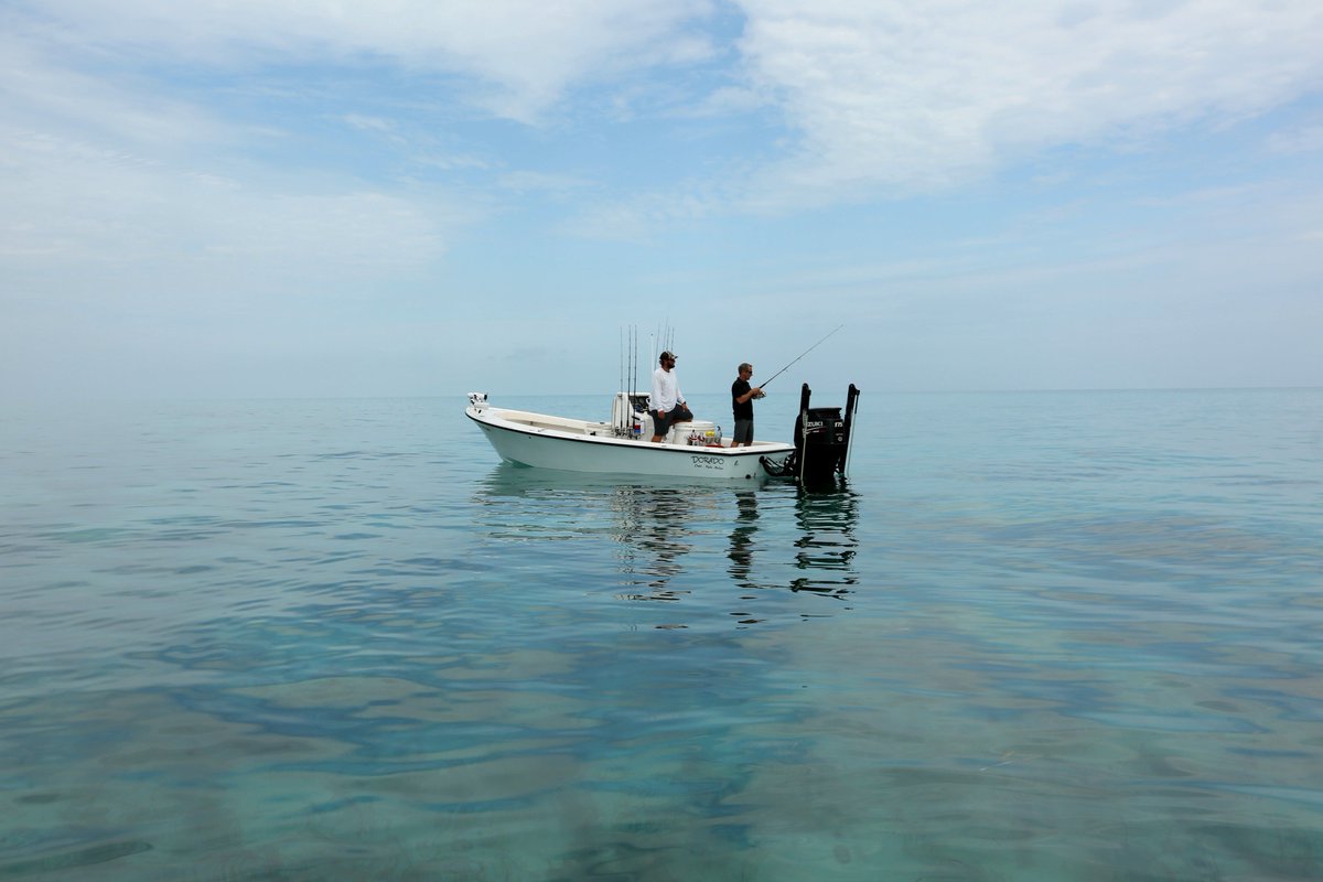 Robson Green Fishing tweet media