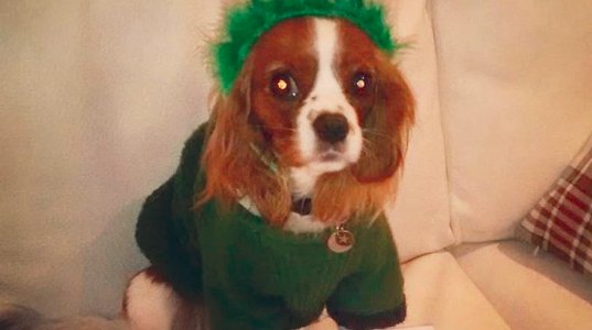 The Tech News Roundup tweet media