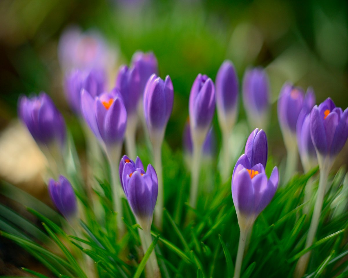 ksPiotr's tweet image. #Fiolet
Kolor nieba i ziemi 
Warto przeczytać: opiekun.kalisz.pl/index.php?dzia…
#Łagów