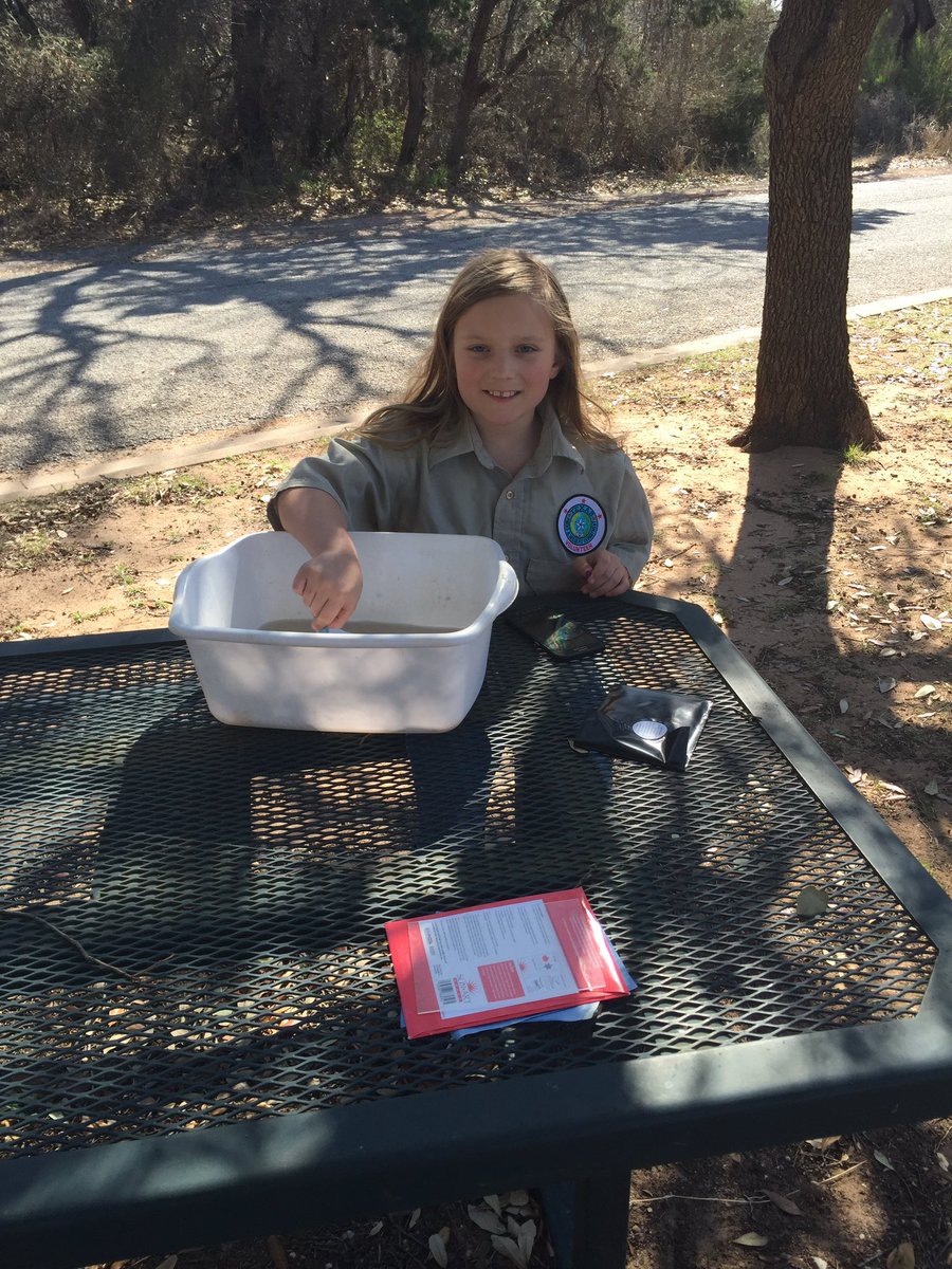 abilenesp's tweet image. Spring break is in full swing!