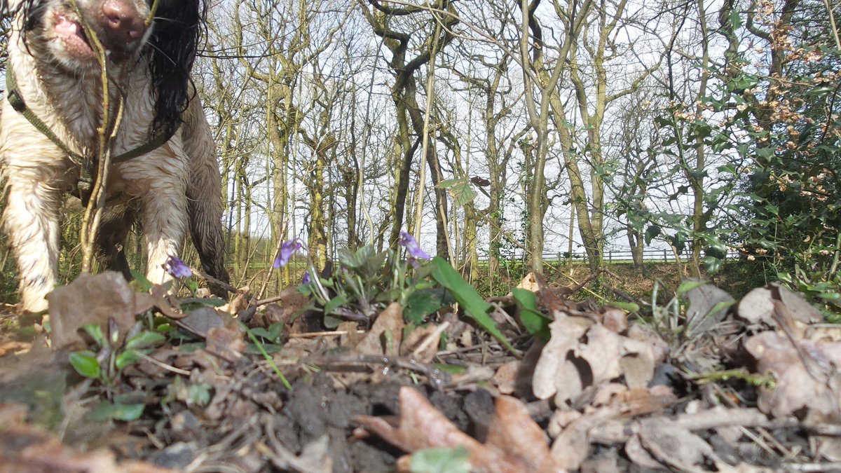 #nature #photography