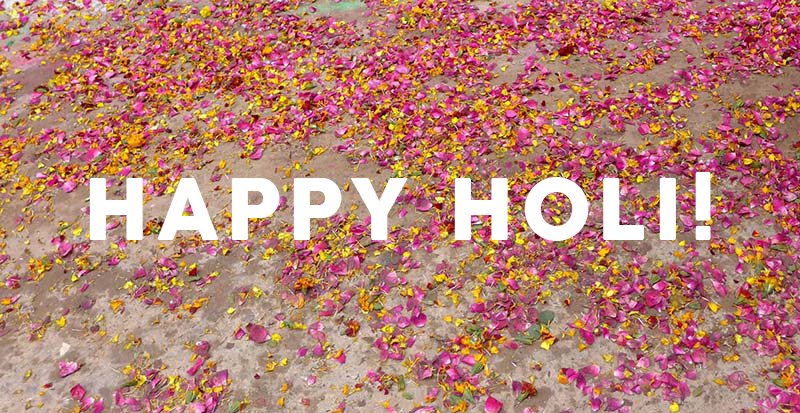 Chhipa Shirts tweet media