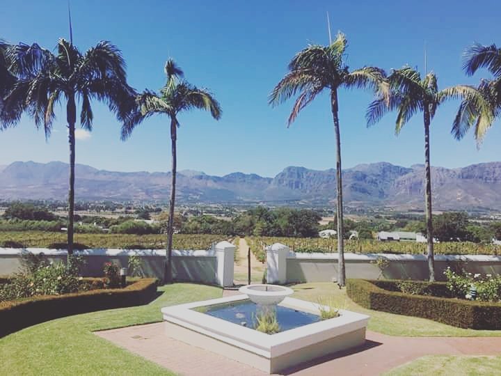 Our view from @Grande_Roche : a luxury #hotel and #wedding #venue is famous for its exquisite location in the heart of the Cape Winelands.