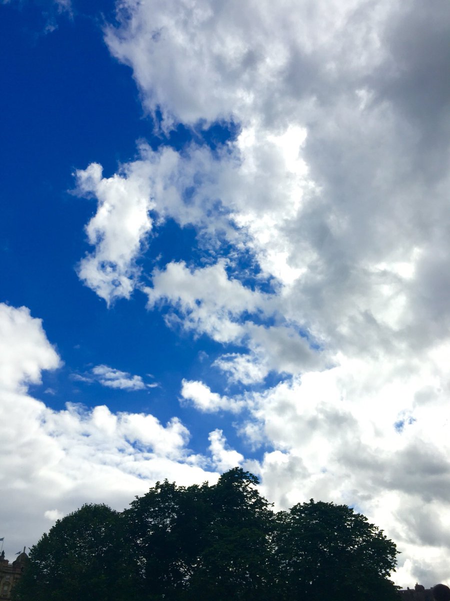 gemmac2002's tweet image. ☁️