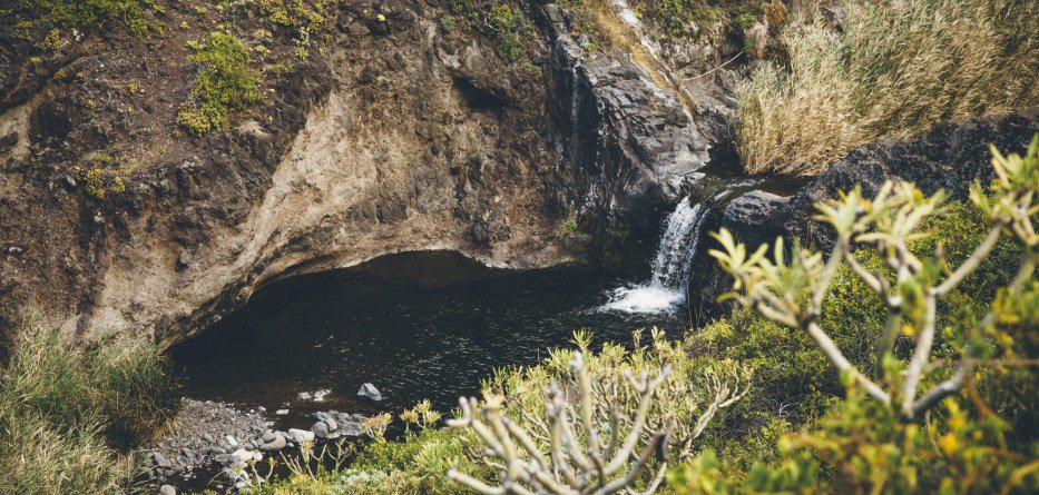 #Tamadiste: The murmur of water, a beautiful route north of #Tenerife. vía: @TenerifeExpress tenerifeexpress.es/2017/03/13/tam…